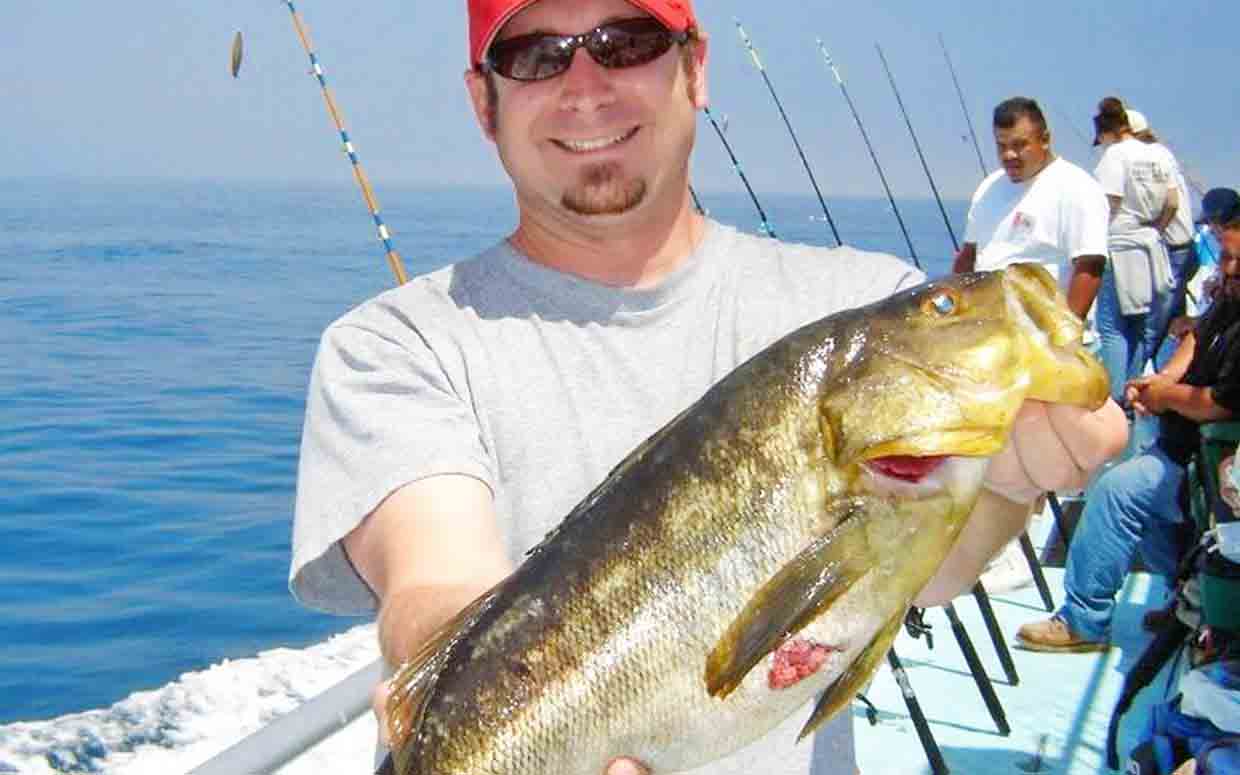 Barred Sand Bass. Shore fishing in Southern California. 