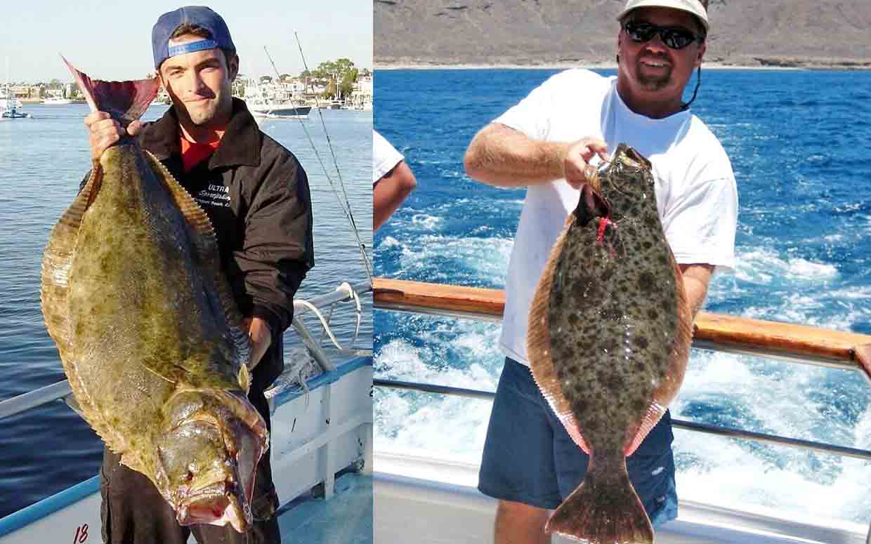 Halibut Fishing  Newport Landing Sportfishing in Southern California