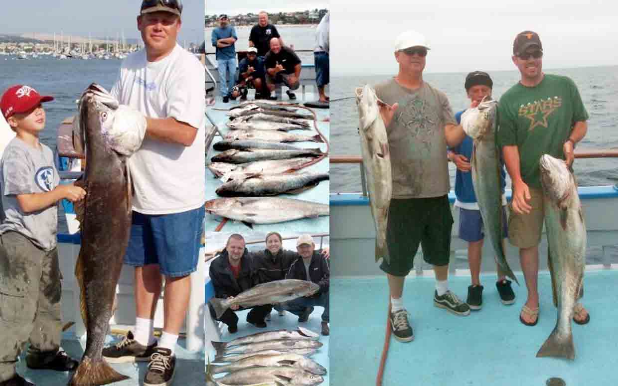 White Sea Bass Fishing  Newport Landing Sportfishing in Southern California