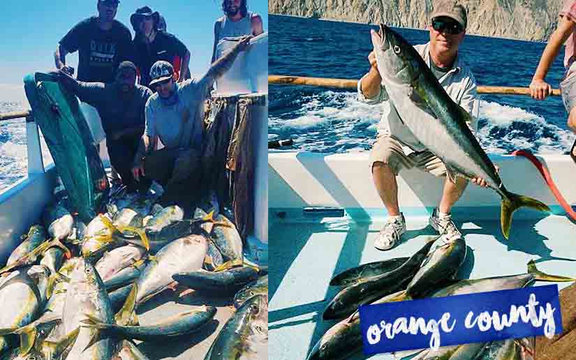 Surf Fishing San Diego County's Beaches