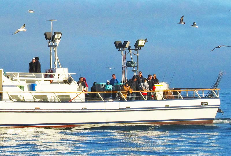 Newport Landing Sportfishing | Southern California fishing Open Party Boat  and Charter Boat Sportfishing